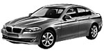 BMW F10 P383D Fault Code